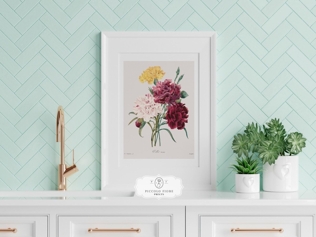 Carnations | P493 - Single Art Prints - Piccolo Fiore Prints