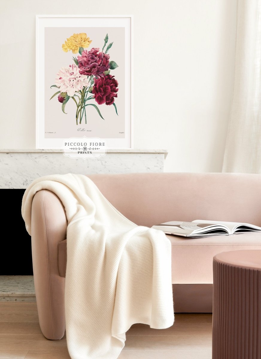 Carnations | P493 - Single Art Prints - Piccolo Fiore Prints