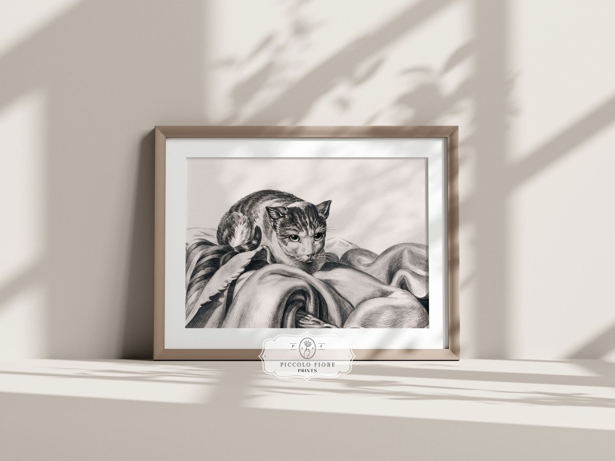 Cat Sitting in a Basket Sketch | P214 - Single Art Prints - Piccolo Fiore Prints