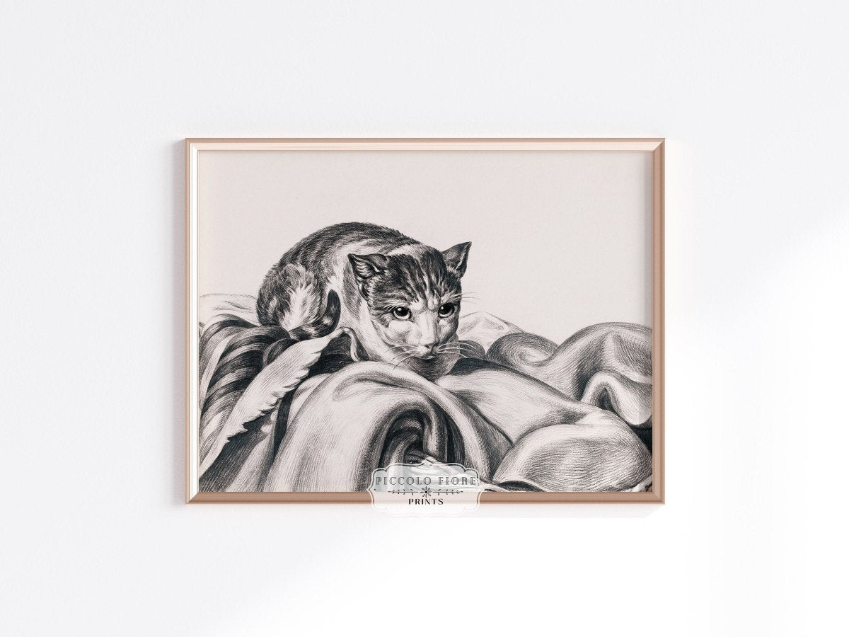 Cat Sitting in a Basket Sketch | P214 - Single Art Prints - Piccolo Fiore Prints