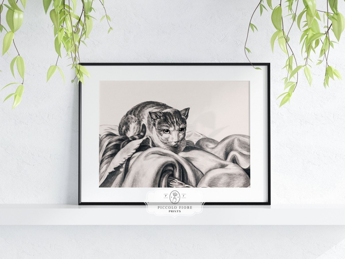 Cat Sitting in a Basket Sketch | P214 - Single Art Prints - Piccolo Fiore Prints