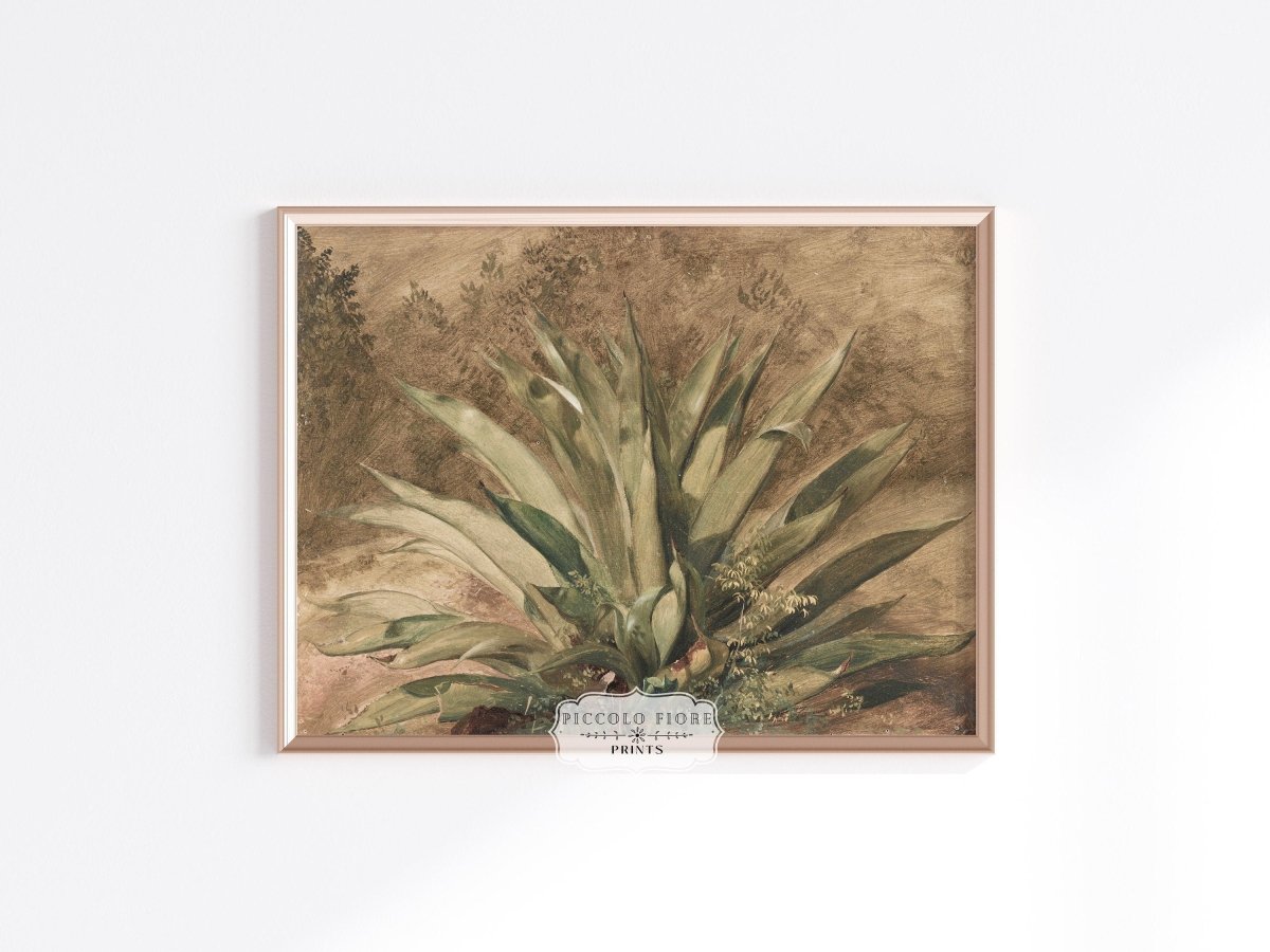 Century Plant | P371 - Single Art Prints - Piccolo Fiore Prints