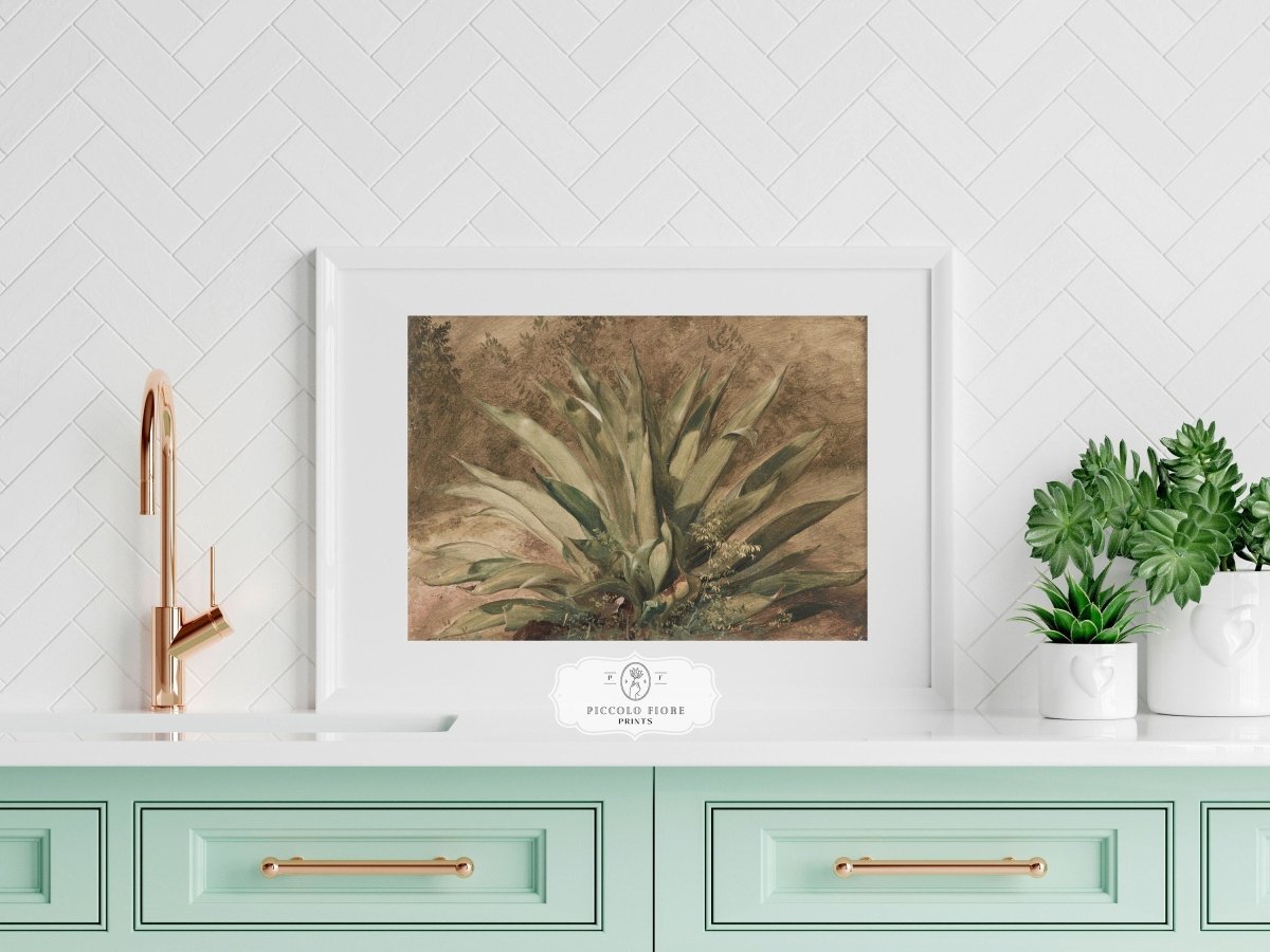 Century Plant | P371 - Single Art Prints - Piccolo Fiore Prints