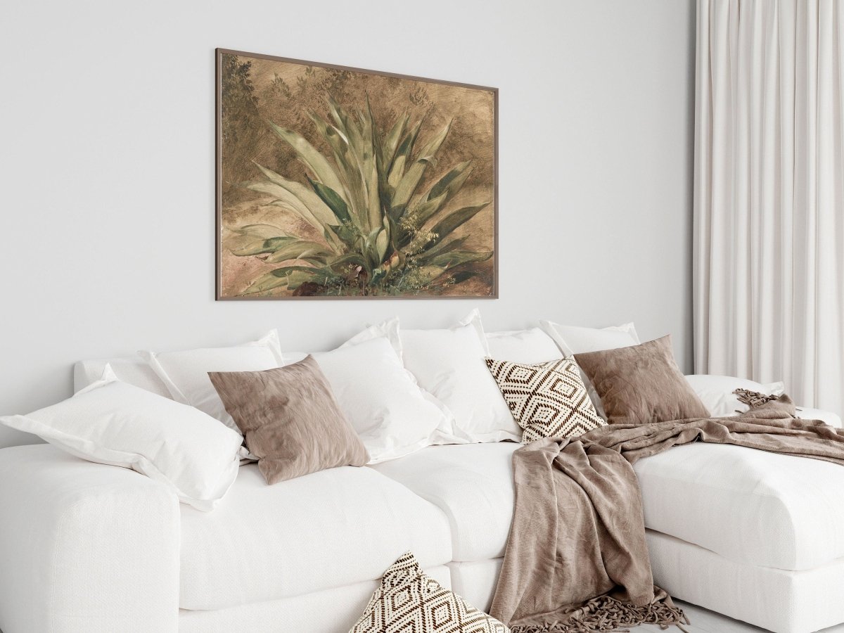 Century Plant | P371 - Single Art Prints - Piccolo Fiore Prints