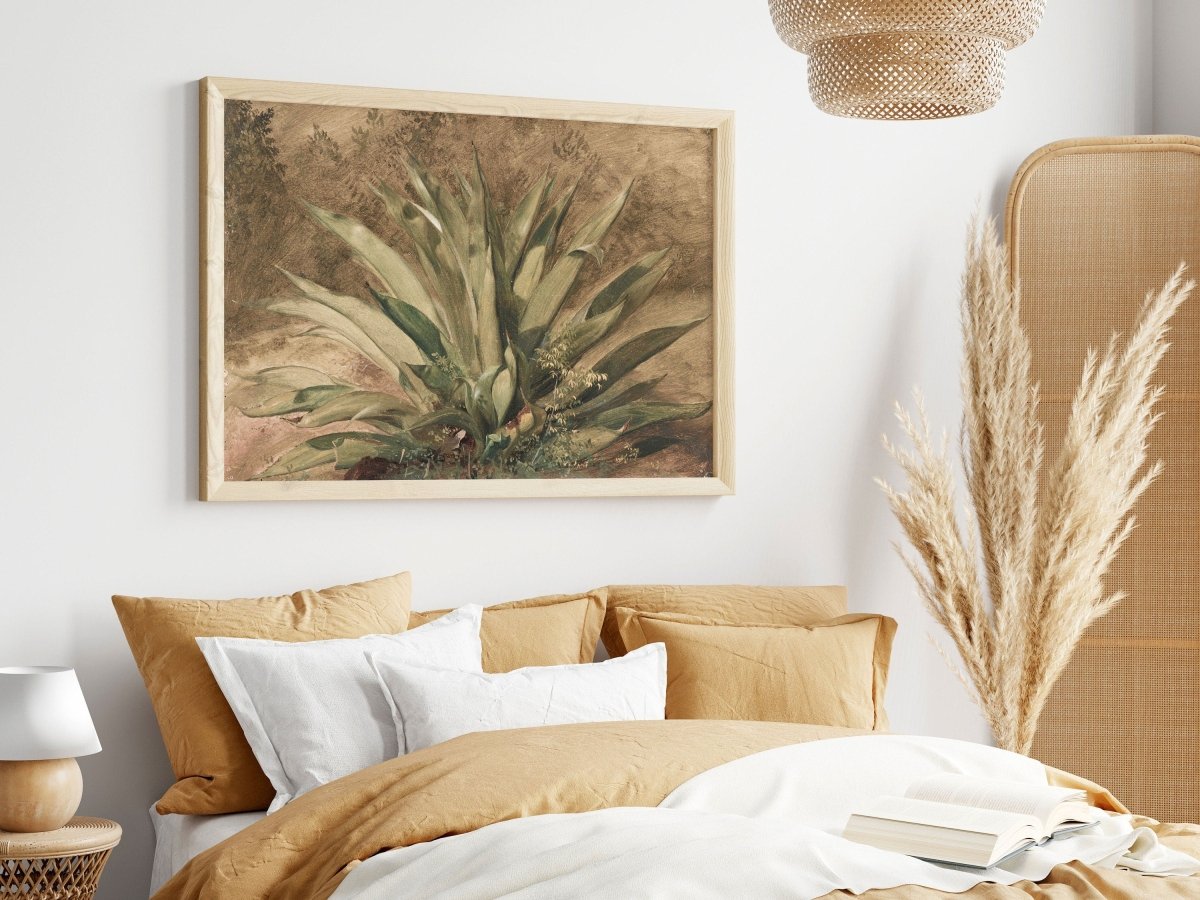 Century Plant | P371 - Single Art Prints - Piccolo Fiore Prints
