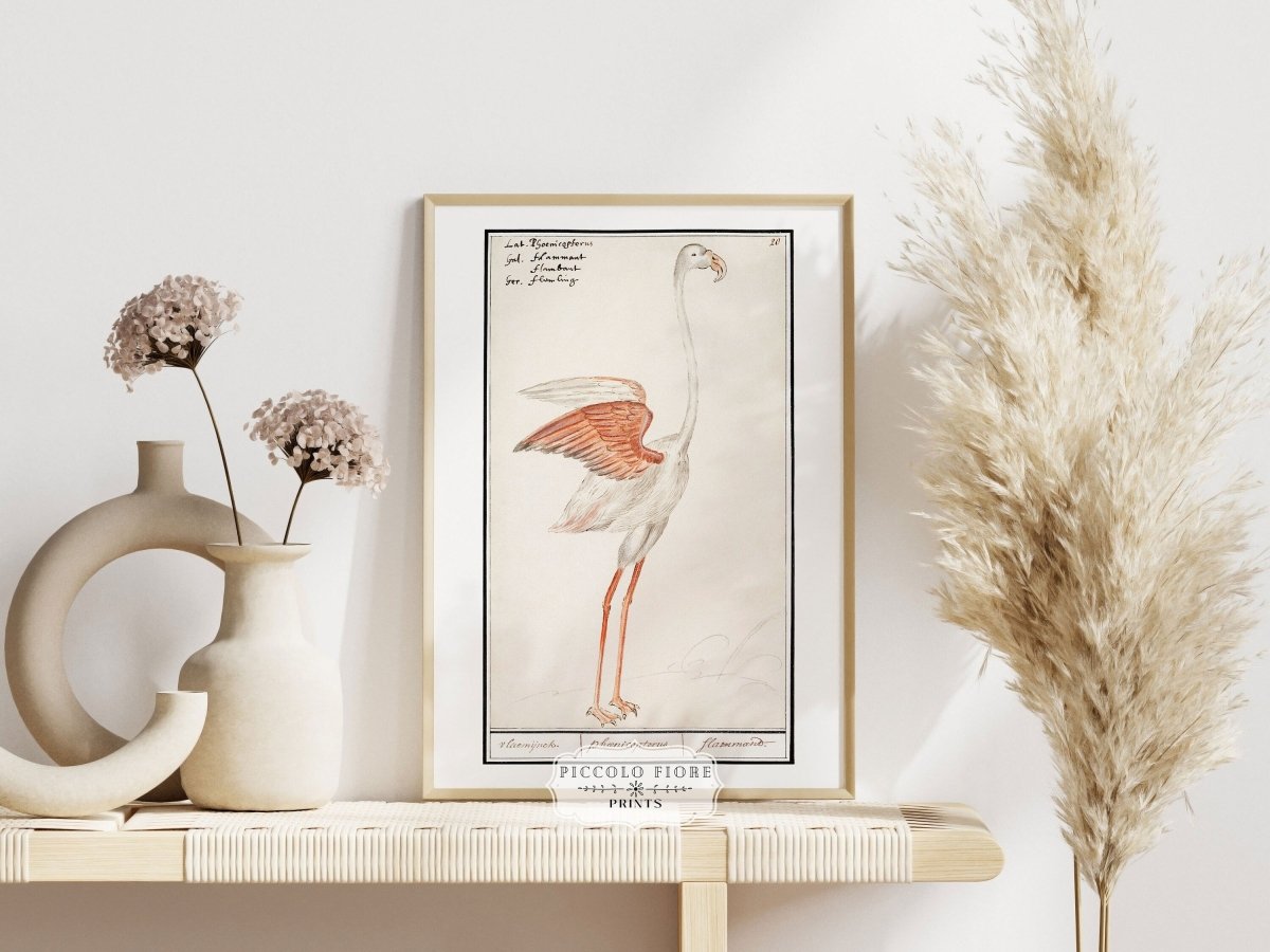 Common Flamingo | P365 - Single Art Prints - Piccolo Fiore Prints
