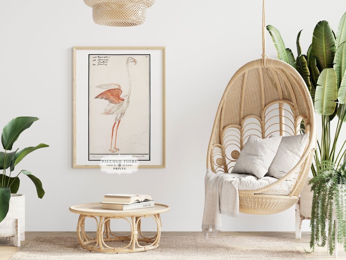 Common Flamingo | P365 - Single Art Prints - Piccolo Fiore Prints
