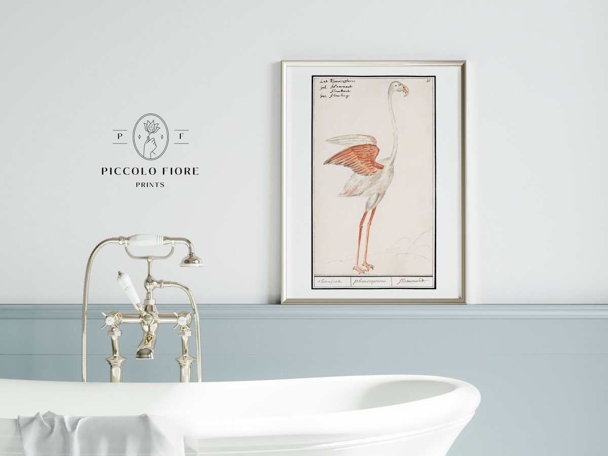 Common Flamingo | P365 - Single Art Prints - Piccolo Fiore Prints