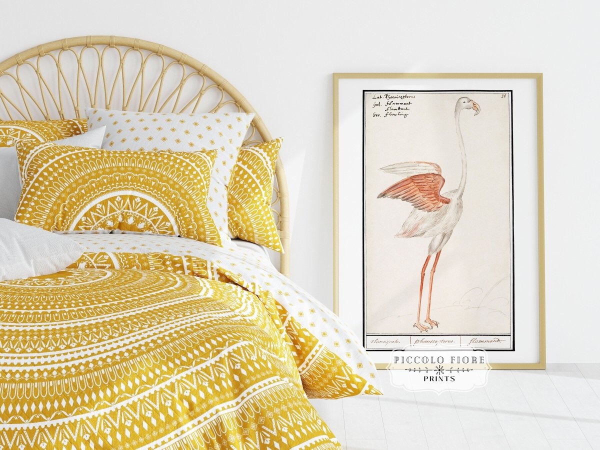 Common Flamingo | P365 - Single Art Prints - Piccolo Fiore Prints
