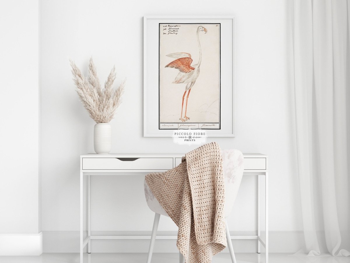 Common Flamingo | P365 - Single Art Prints - Piccolo Fiore Prints