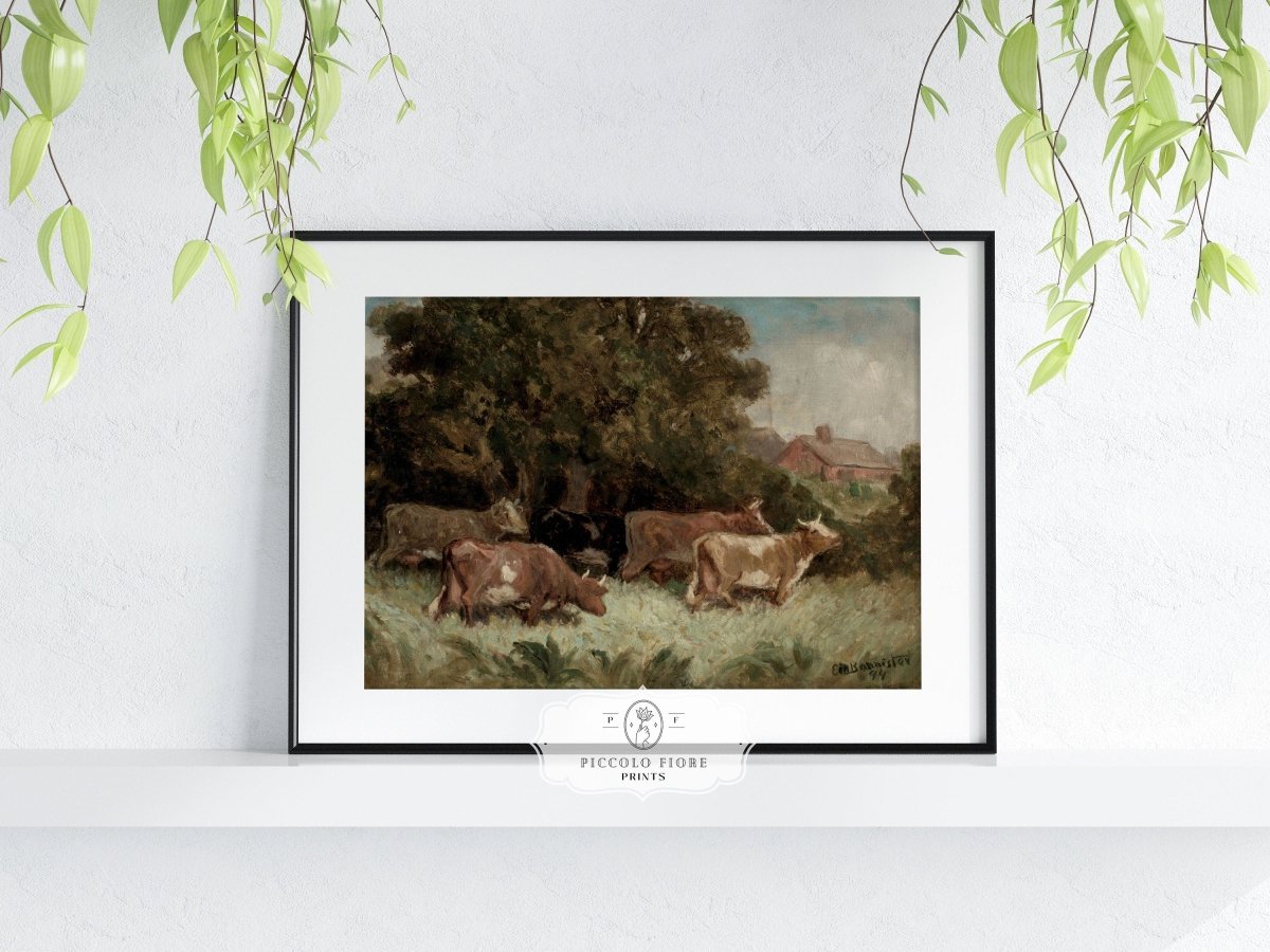 Cows Grazing | P369 - Single Art Prints - Piccolo Fiore Prints
