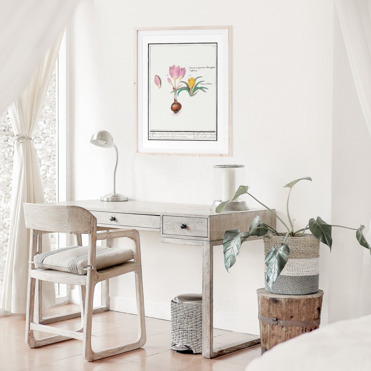 Crocus Illustration | P53 - Single Art Prints - Piccolo Fiore Prints