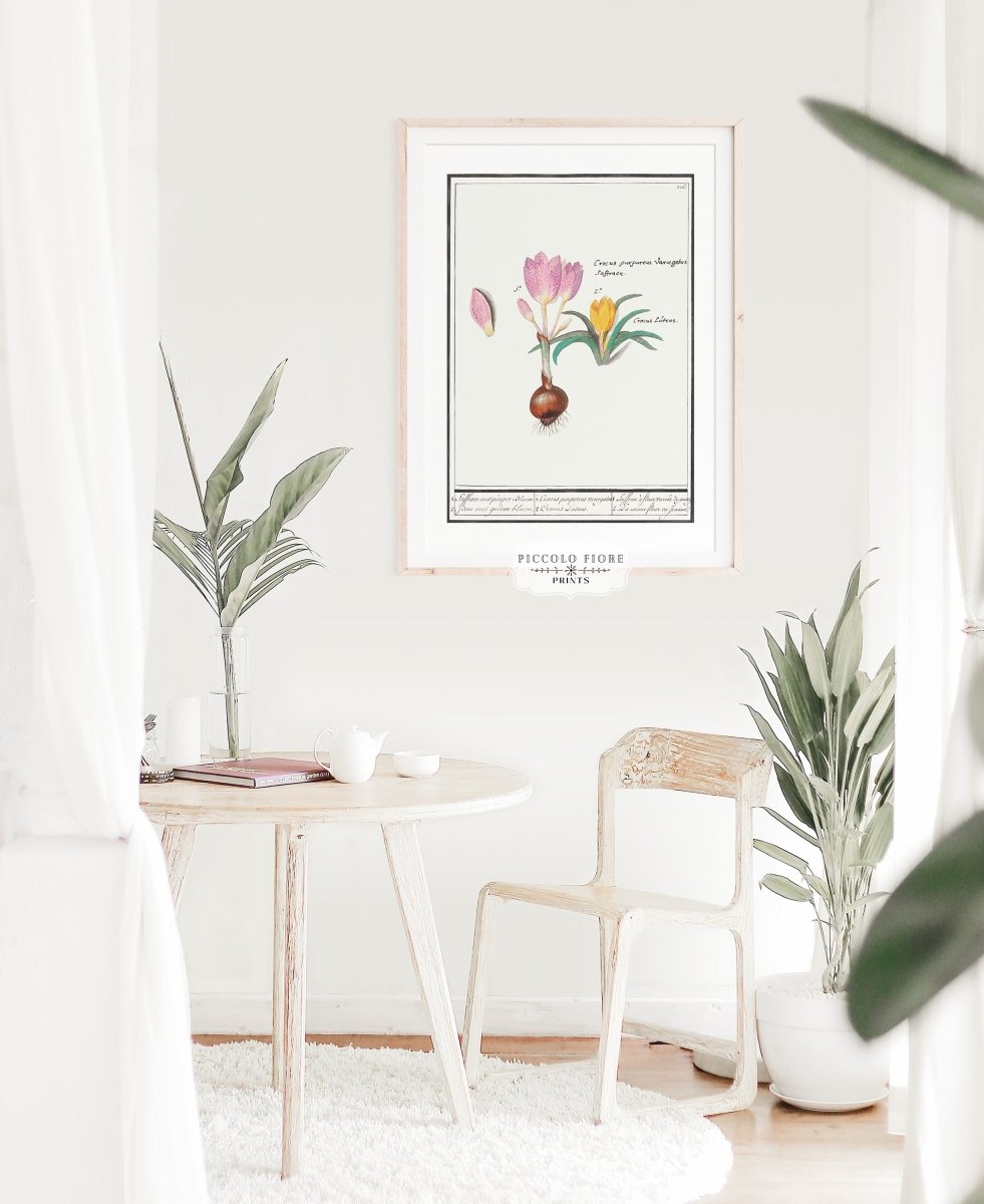 Crocus Illustration | P53 - Single Art Prints - Piccolo Fiore Prints