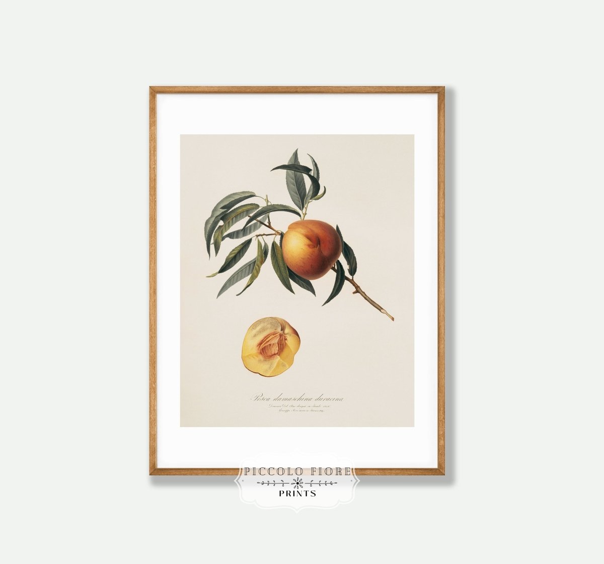 Duck Egg Blue, Terracotta and Fuchsia Pink | Gallery Wall Set | 10 Prints | M10 - 7 - Gallery Wall Set - Piccolo Fiore Prints