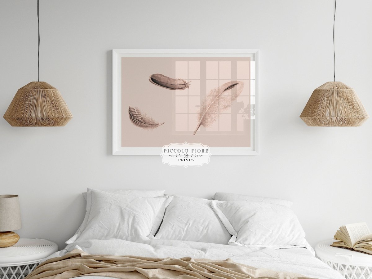 Feather Study | P389 - Single Art Prints - Piccolo Fiore Prints