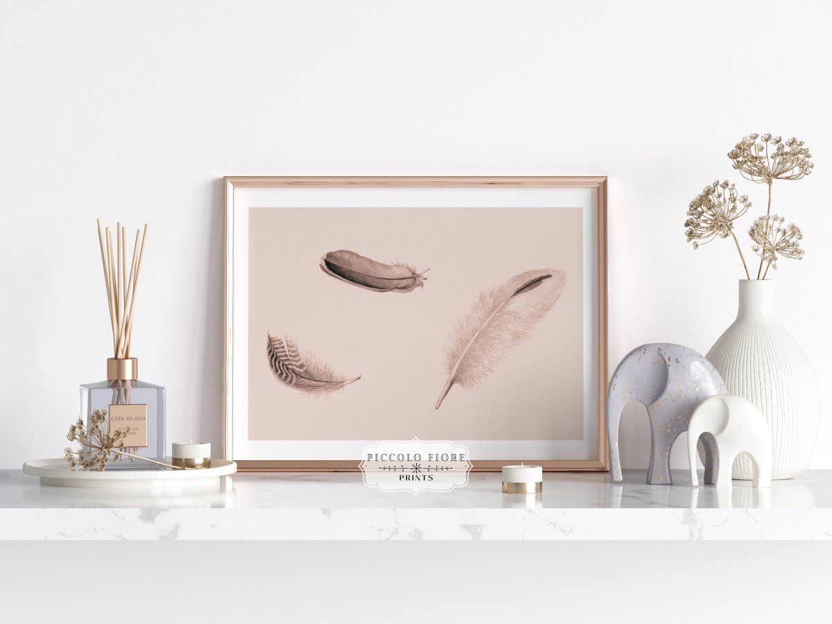 Feather Study | P389 - Single Art Prints - Piccolo Fiore Prints