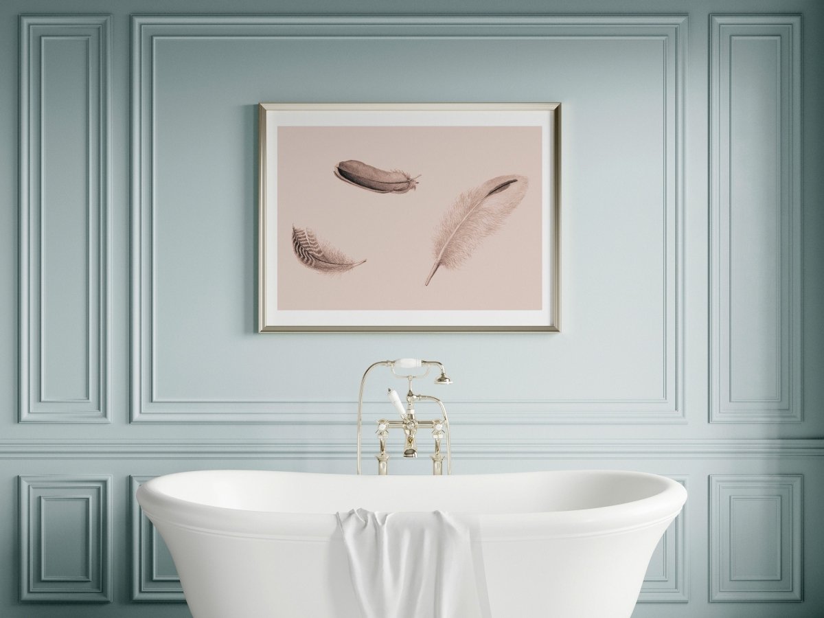 Feather Study | P389 - Single Art Prints - Piccolo Fiore Prints