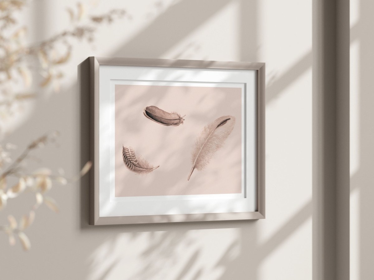 Feather Study | P389 - Single Art Prints - Piccolo Fiore Prints