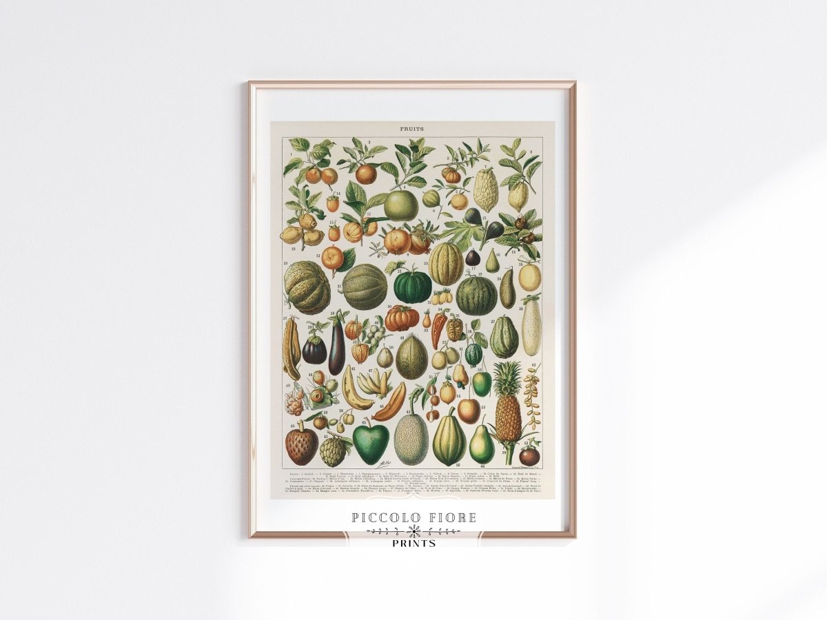 Fruits and Vegetables Chart | P396 - Single Art Prints - Piccolo Fiore Prints