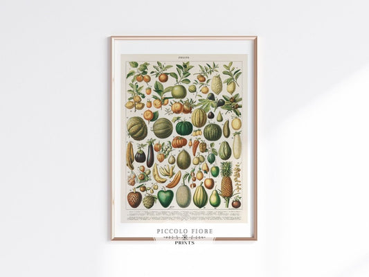 Fruits and Vegetables Chart | P396 - Single Art Prints - Piccolo Fiore Prints
