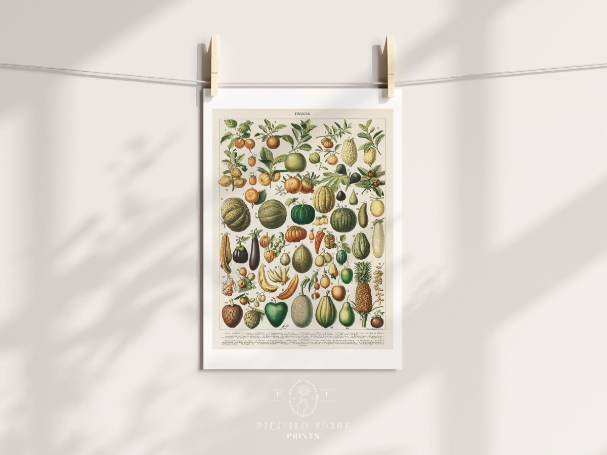 Fruits and Vegetables Chart | P396 - Single Art Prints - Piccolo Fiore Prints