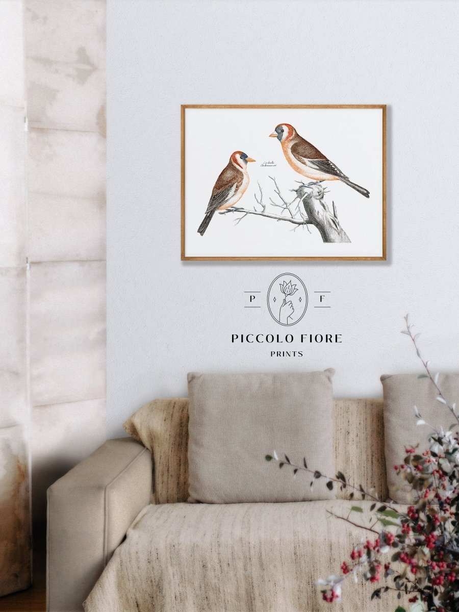 Goldfinches Illustration | P78 - Single Art Prints - Piccolo Fiore Prints