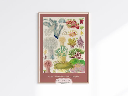 Great Barrier Reef Coral | P502 - Single Art Prints - Piccolo Fiore Prints