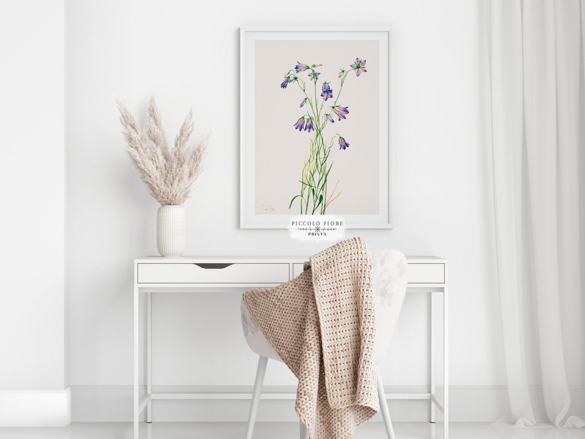 Harebell Illustration | P277 - Single Art Prints - Piccolo Fiore Prints