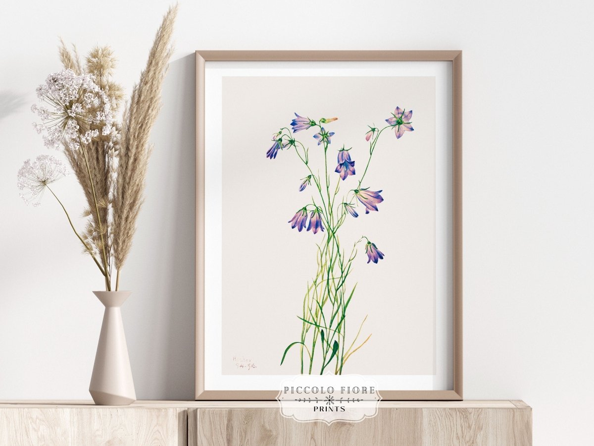 Harebell Illustration | P277 - Single Art Prints - Piccolo Fiore Prints