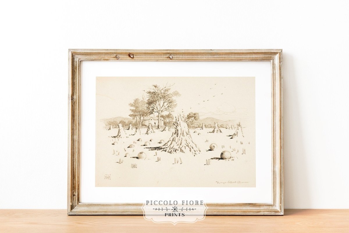 Harvest Sketch | P188 - Single Art Prints - Piccolo Fiore Prints