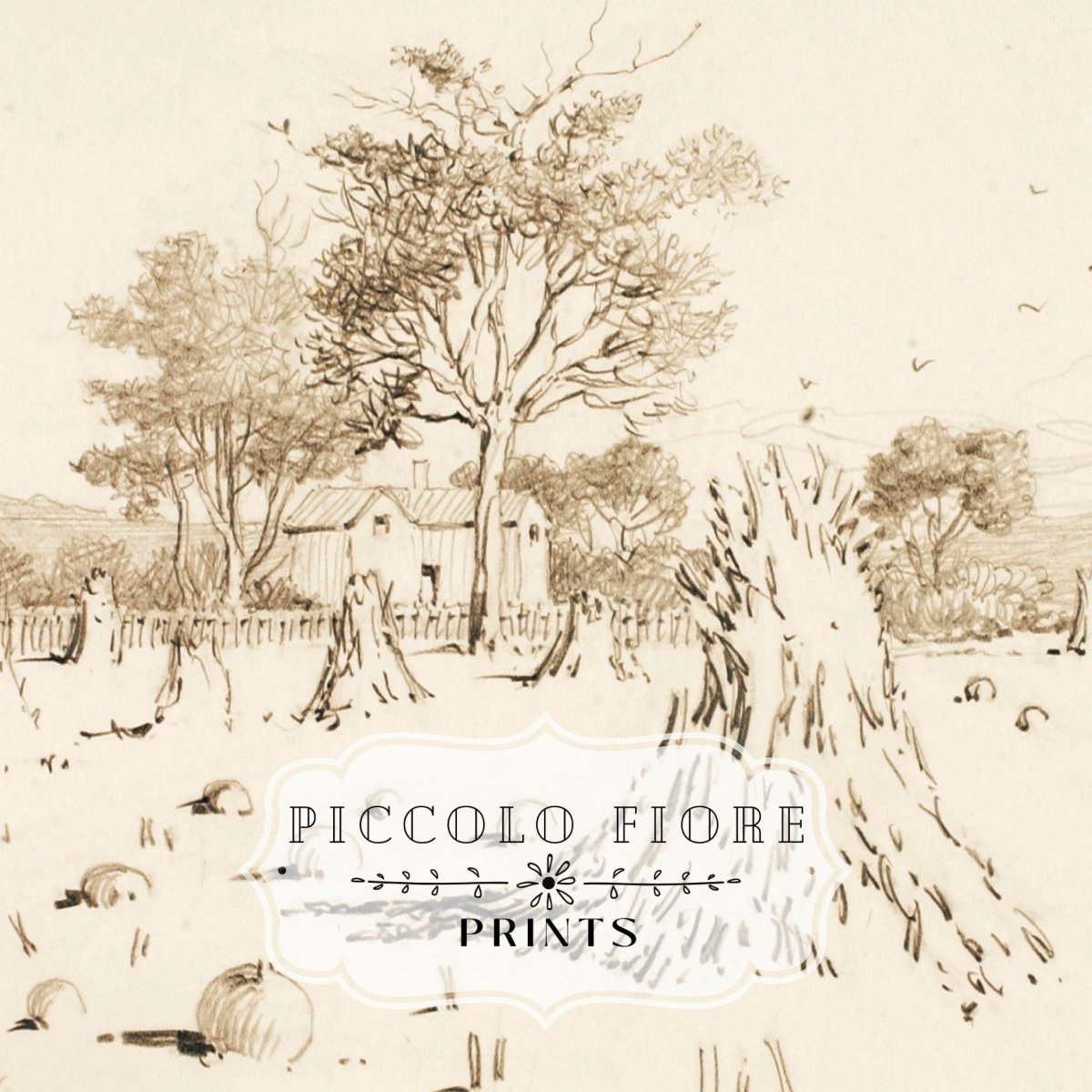 Harvest Sketch | P188 - Single Art Prints - Piccolo Fiore Prints