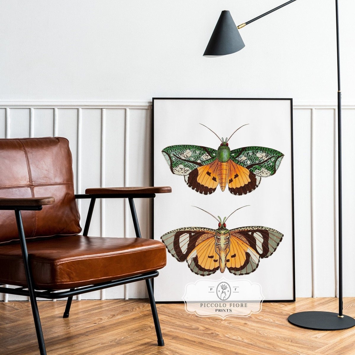 Hypermnestra Moth Illustration | P170 - Single Art Prints - Piccolo Fiore Prints