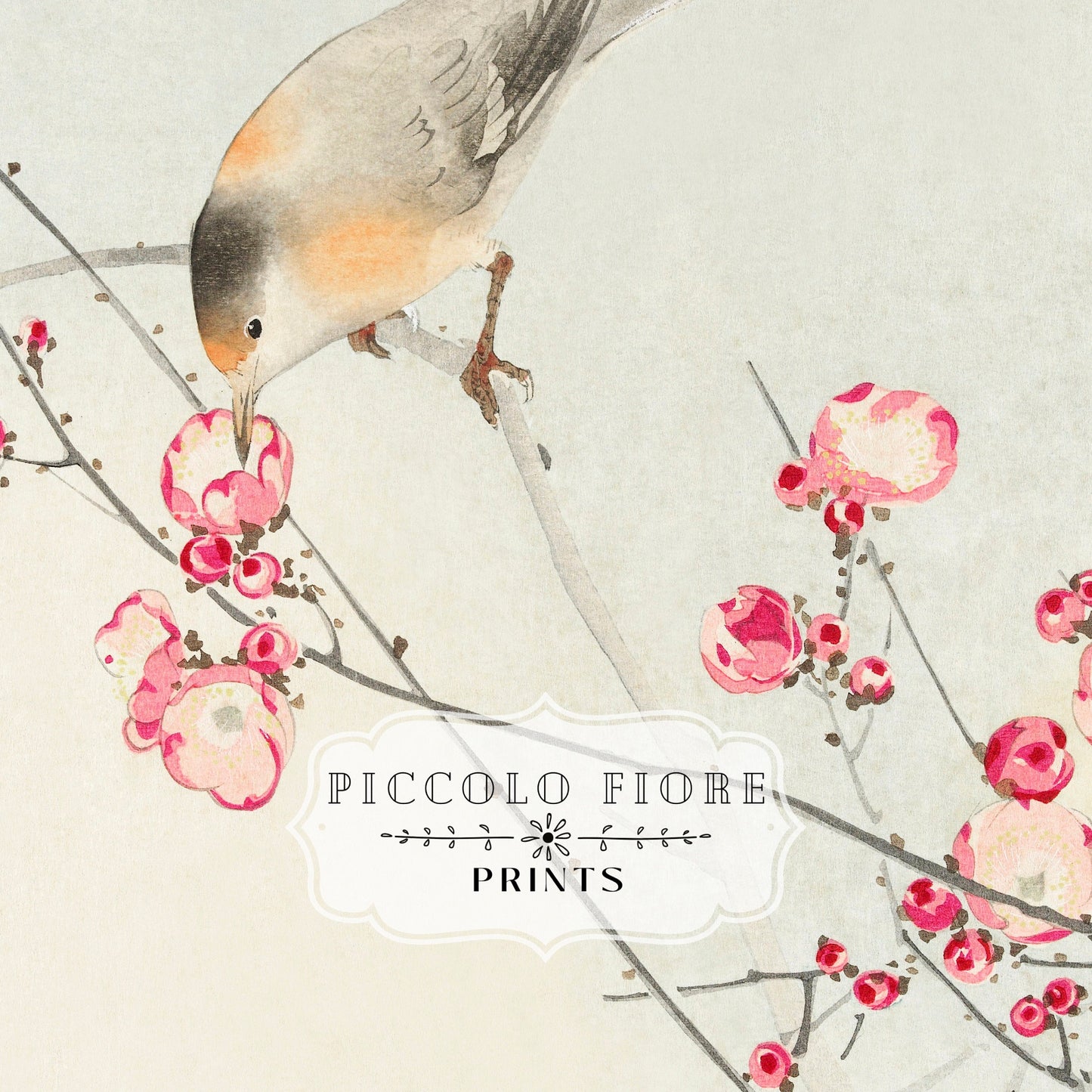 Songbird on Blossom Branch | P147