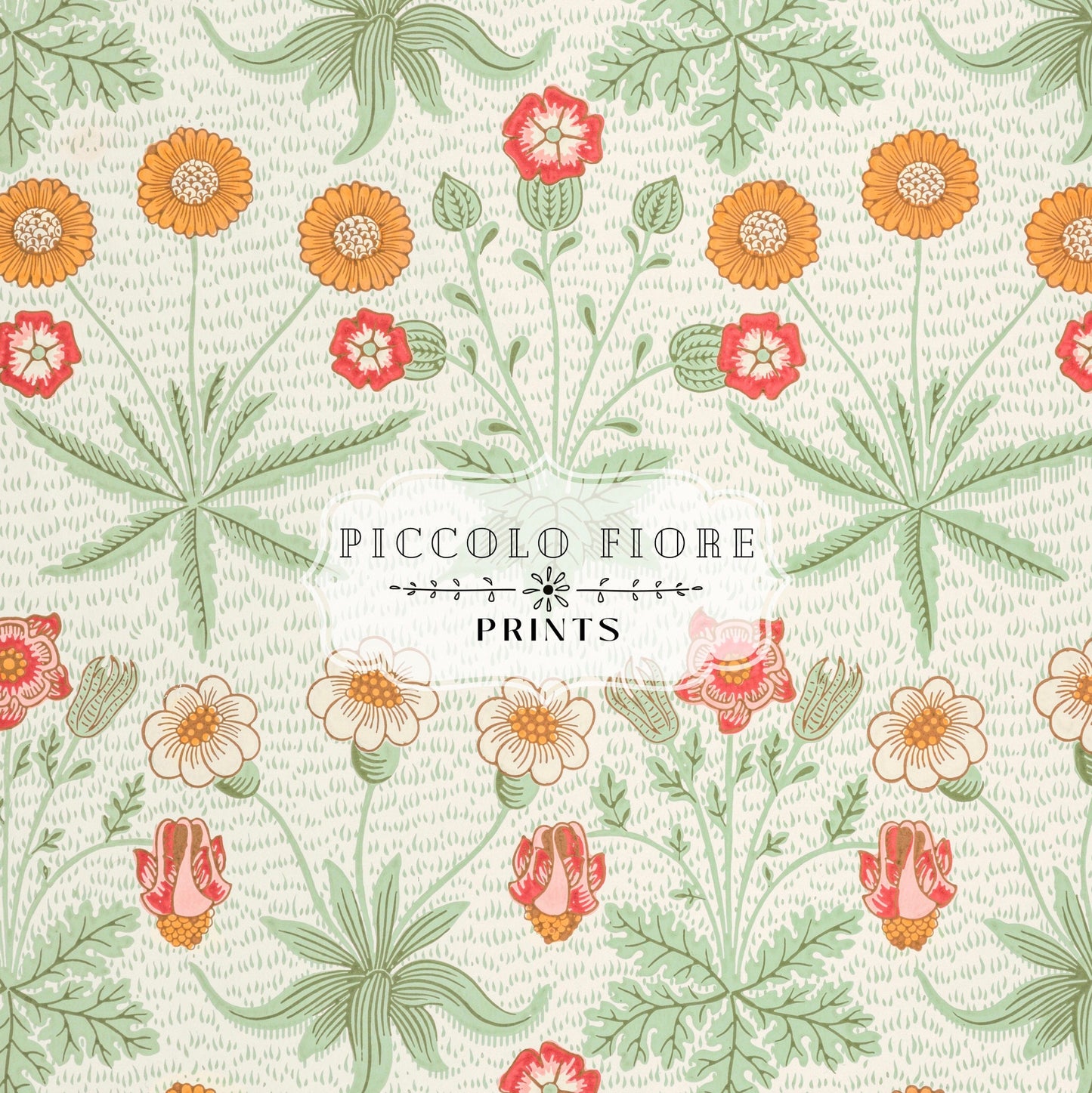 Daisy | William Morris | P285