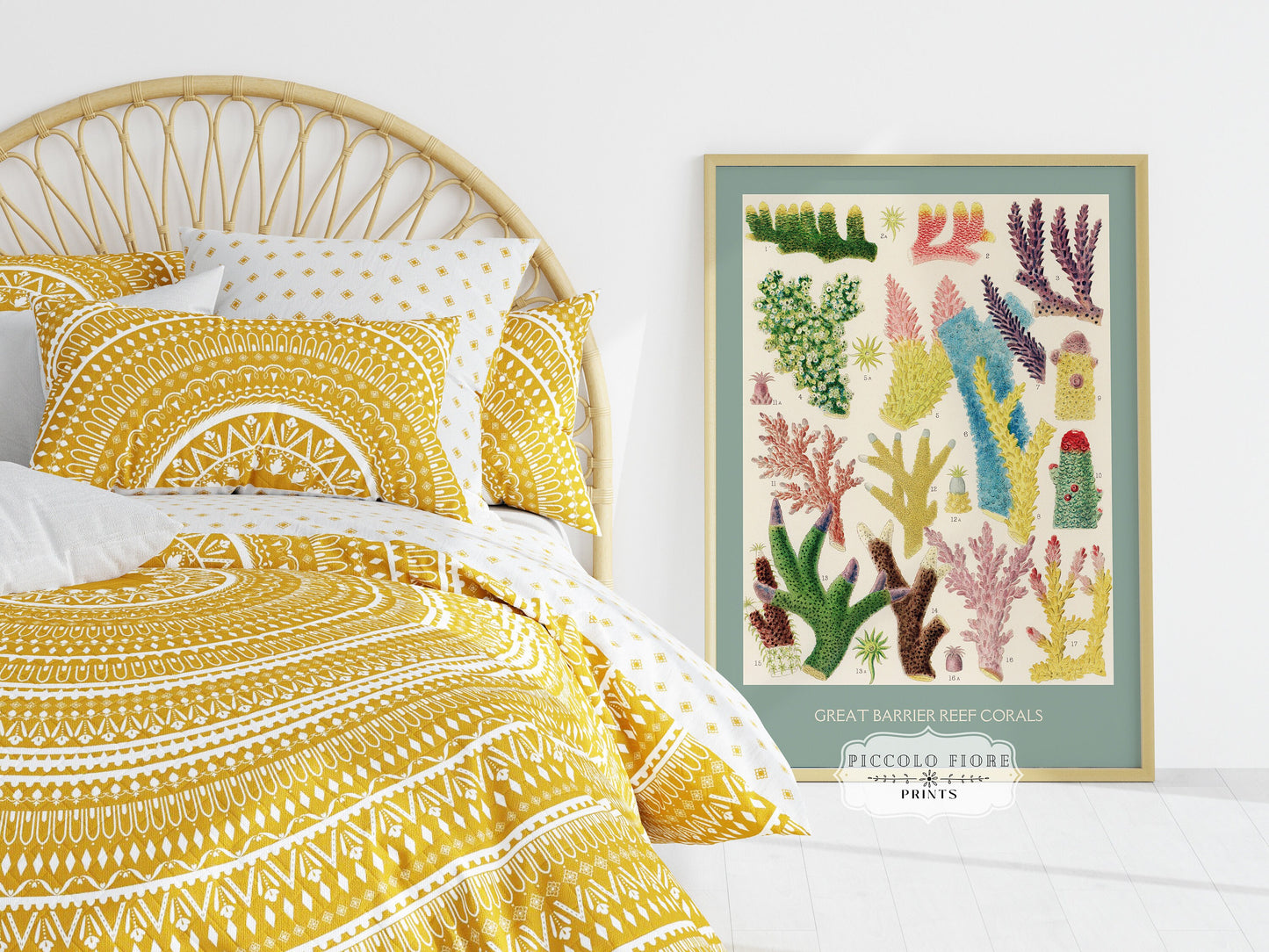 Great Barrier Reef Coral and Fish | Gallery Wall Set | 3 Prints | S3-6