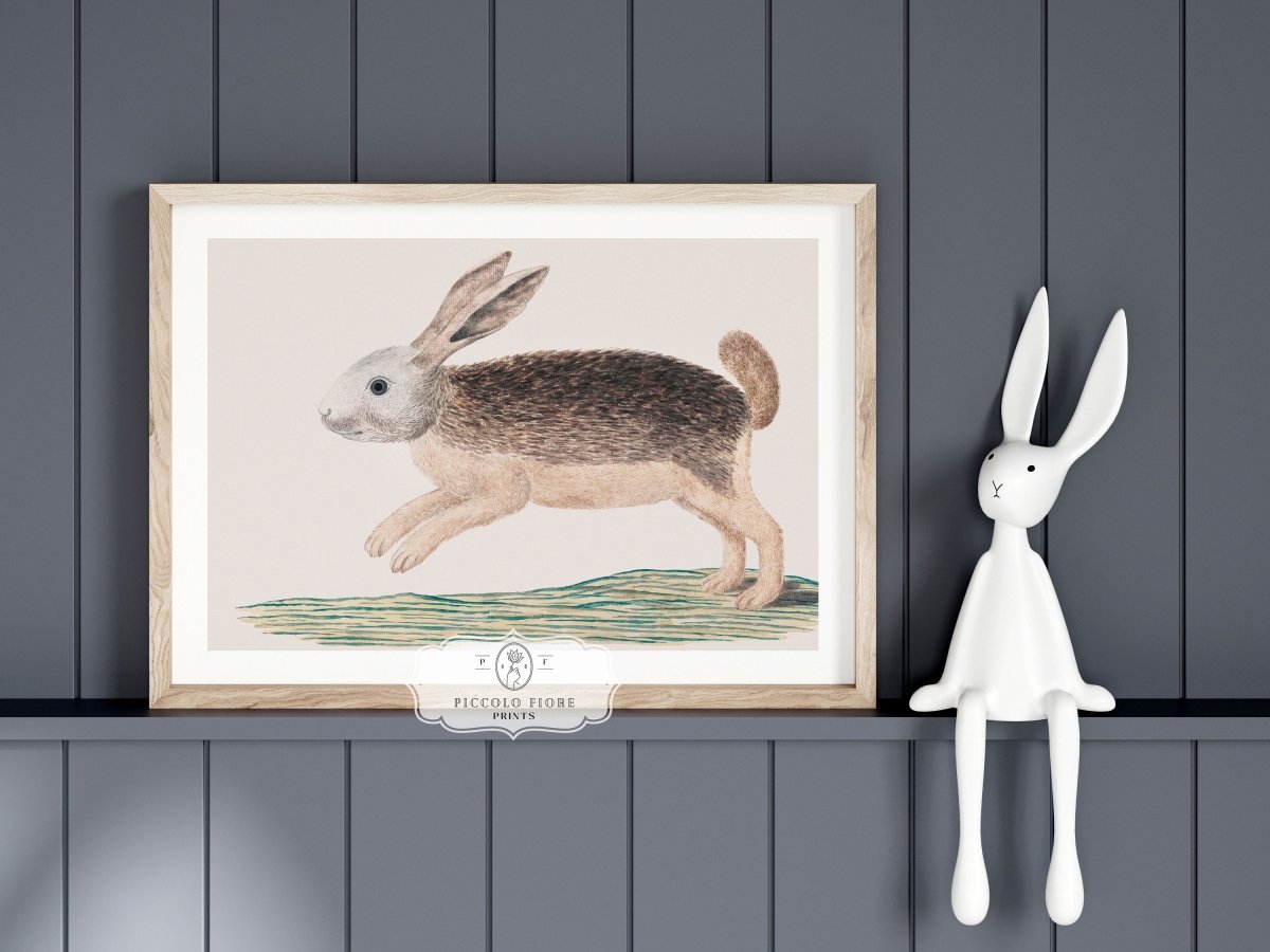 Jumping Hare | P789 - Single Art Prints - Piccolo Fiore Prints