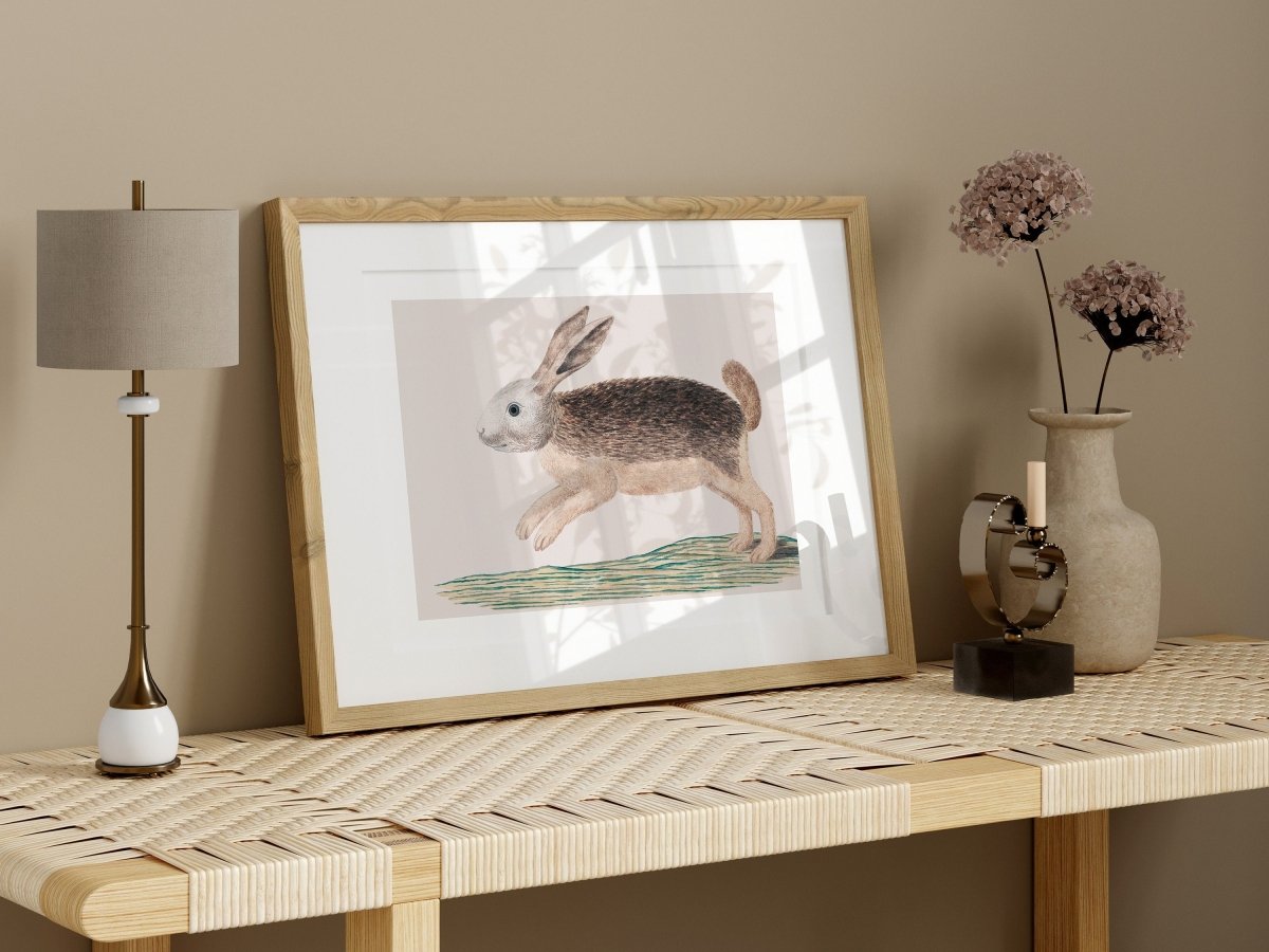 Jumping Hare | P789 - Single Art Prints - Piccolo Fiore Prints