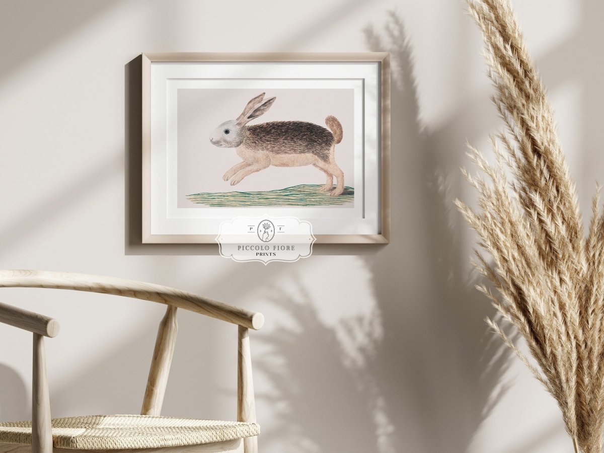 Jumping Hare | P789 - Single Art Prints - Piccolo Fiore Prints