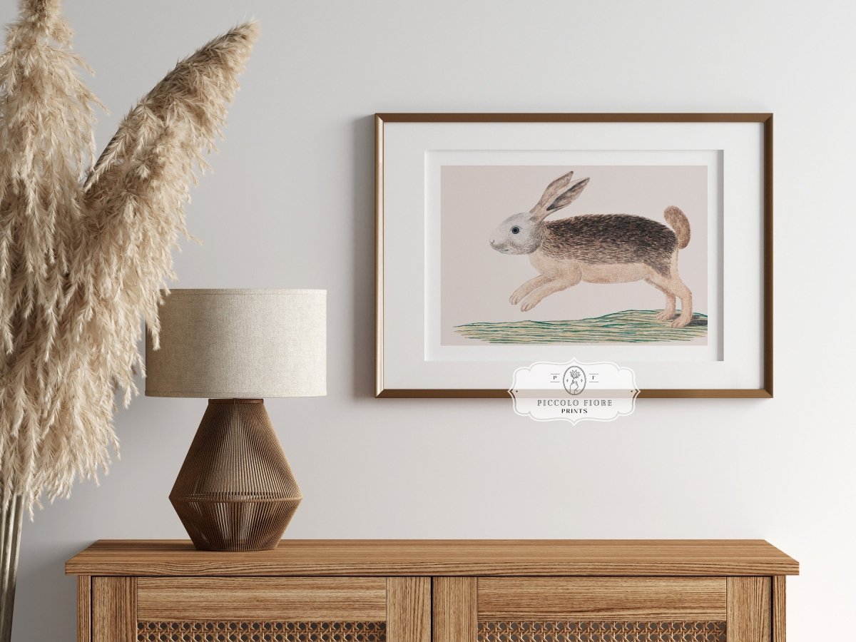 Jumping Hare | P789 - Single Art Prints - Piccolo Fiore Prints