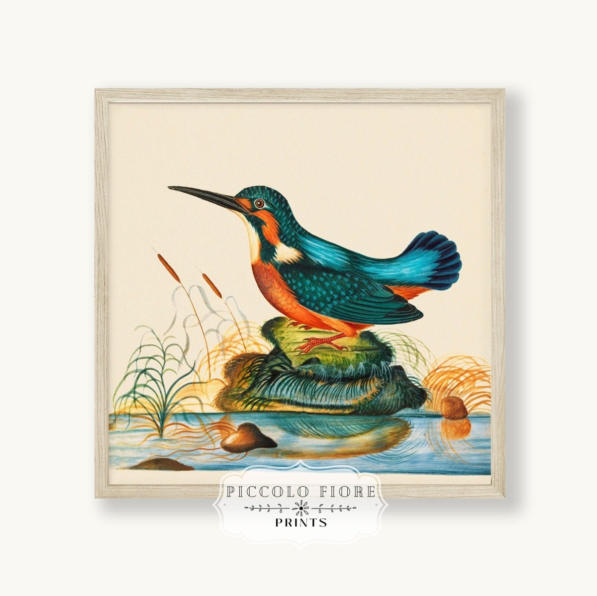 Kingfisher | P304 - Single Square Art Prints - Piccolo Fiore Prints