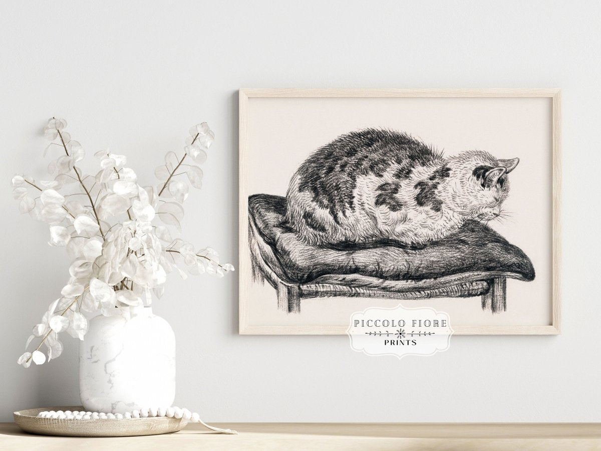Lying Cat on a Pillow | P216 - Single Art Prints - Piccolo Fiore Prints