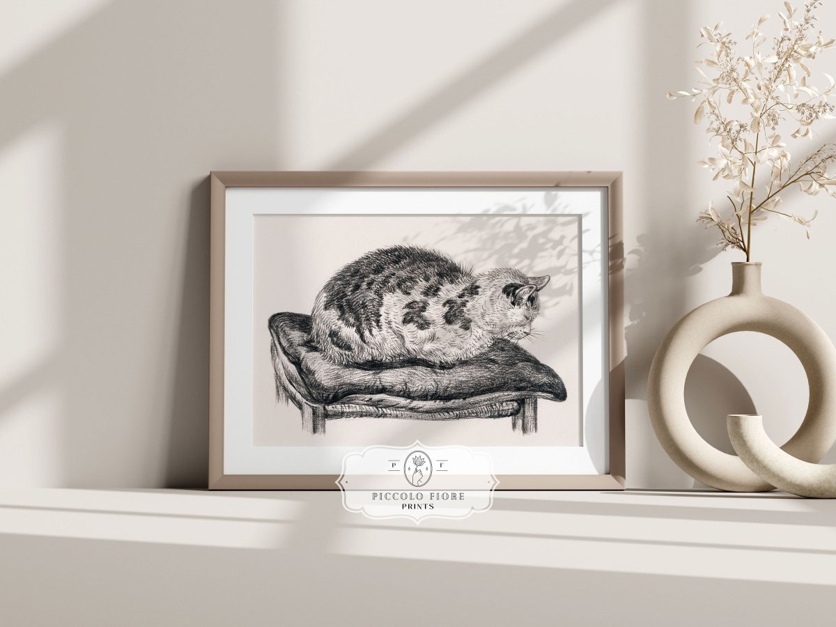 Lying Cat on a Pillow | P216 - Single Art Prints - Piccolo Fiore Prints