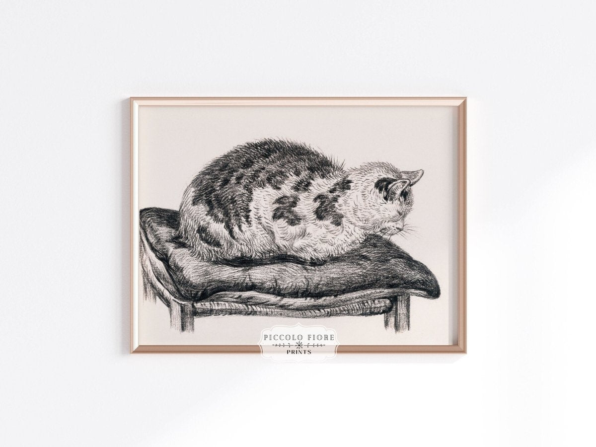 Lying Cat on a Pillow | P216 - Single Art Prints - Piccolo Fiore Prints