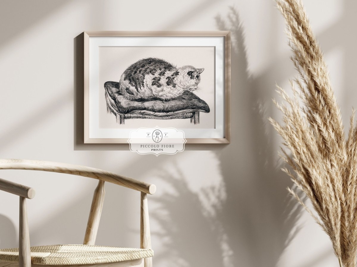Lying Cat on a Pillow | P216 - Single Art Prints - Piccolo Fiore Prints
