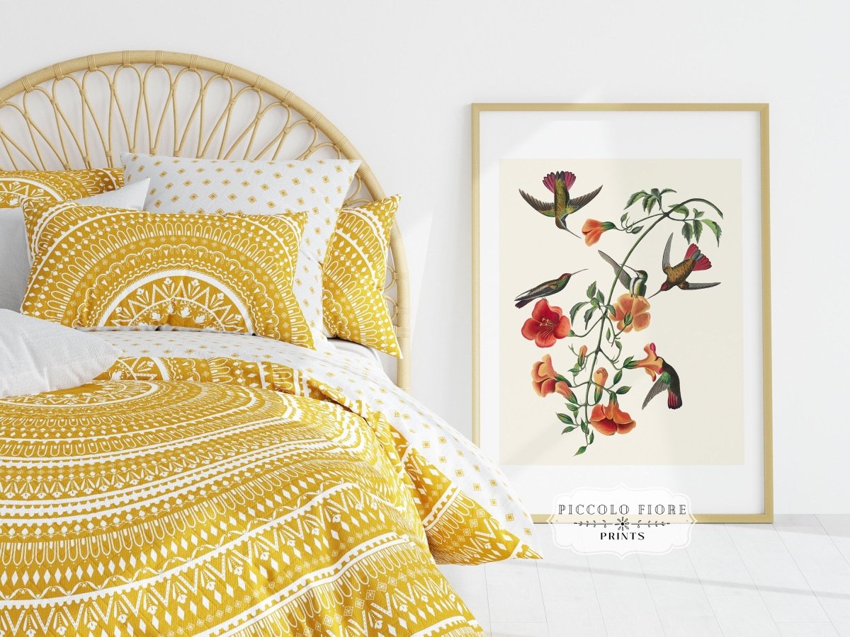 Mango Hummingbird Illustration | P258 - Single Art Prints - Piccolo Fiore Prints