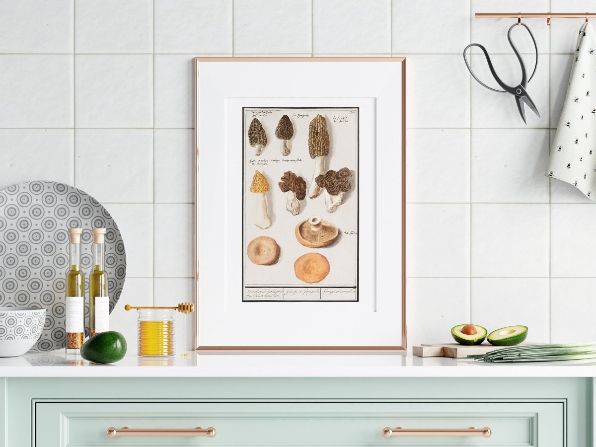 Morchella | P249 - Single Art Prints - Piccolo Fiore Prints