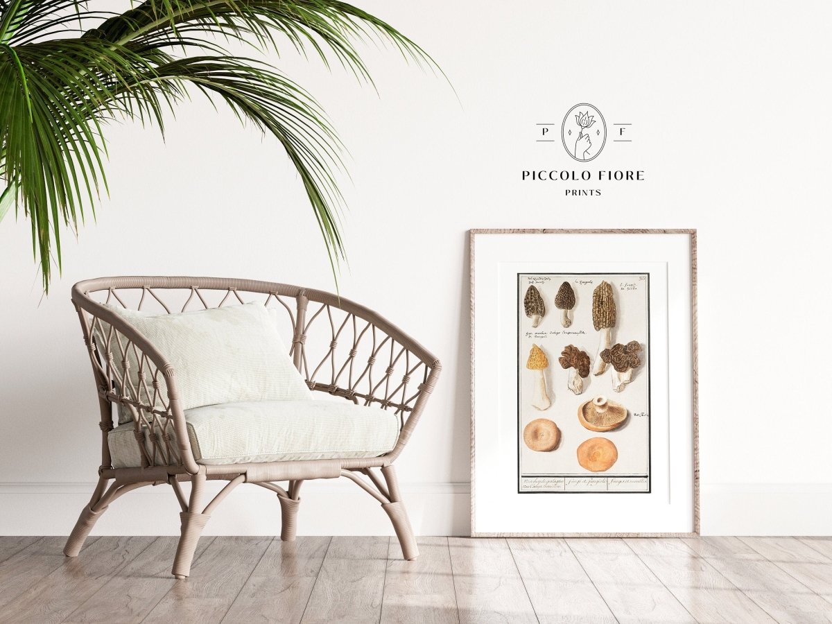 Morchella | P249 - Single Art Prints - Piccolo Fiore Prints