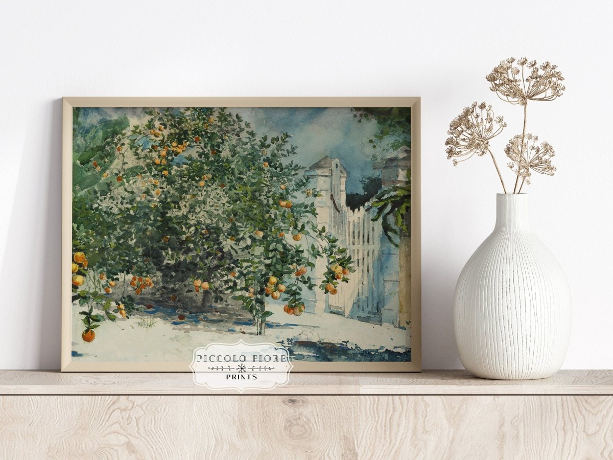 Orange Trees and Gate | P441 - Single Art Prints - Piccolo Fiore Prints