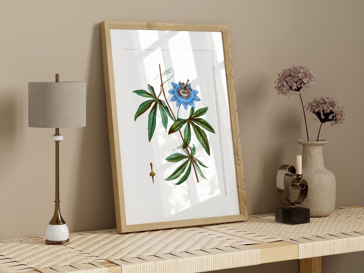 Passionflower Illustration | P153 - Single Art Prints - Piccolo Fiore Prints