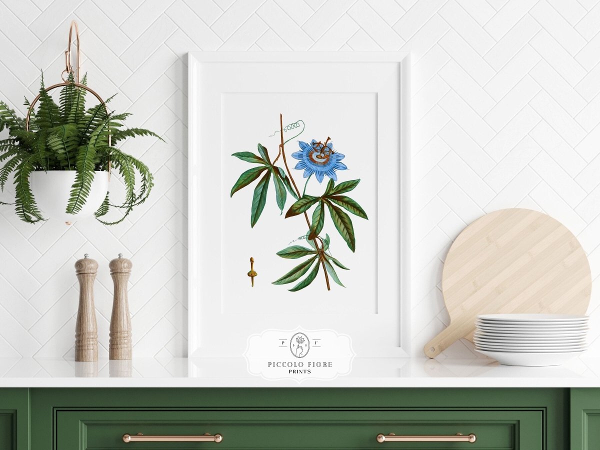 Passionflower Illustration | P153 - Single Art Prints - Piccolo Fiore Prints